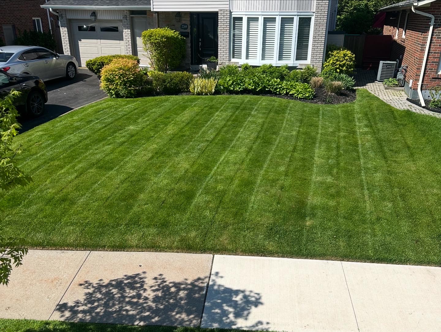 Lawn job 1